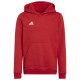 Adidas Παιδικό φούτερ Entrada 22 Hoodie